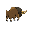 normal (dorso)