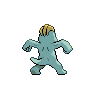 normal (dorso)