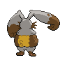 normal (dorso)