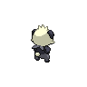 normal (dorso)