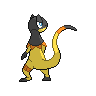 normal (dorso)
