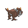 normal (dorso)