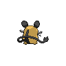 normal (dorso)
