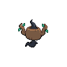 normal (dorso)