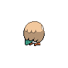 normal (dorso)