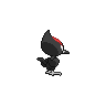 normal (dorso)