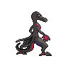 normal (dorso)