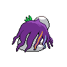 normal (dorso)