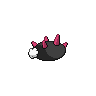 normal (dorso)