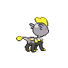 normal (dorso)