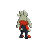 normal (dorso)