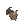 normal (dorso)