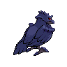 normal (dorso)