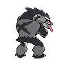 normal (dorso)