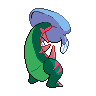 normal (dorso)