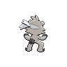 normal (dorso)