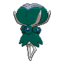 normal (dorso)