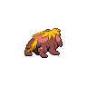 normal (dorso)