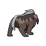 normal (dorso)