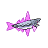 normal (dorso)