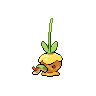 shiny (dorso)