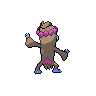 shiny (dorso)