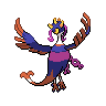shiny (dorso)
