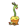 shiny (dorso)