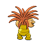 shiny (dorso)