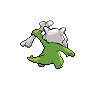 shiny (dorso)