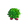 shiny (dorso)