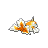 shiny (dorso)