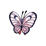 shiny (dorso)