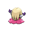 shiny (dorso)