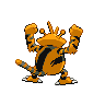 shiny (dorso)
