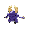shiny (dorso)