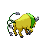 shiny (dorso)