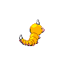 shiny (dorso)
