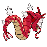shiny (dorso)