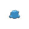 shiny (dorso)