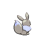shiny (dorso)