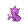 shiny (dorso)