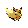 shiny (dorso)