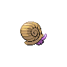 shiny (dorso)