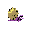 shiny (dorso)