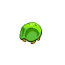 shiny (dorso)