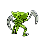 shiny (dorso)