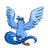shiny (dorso)