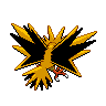 shiny (dorso)