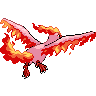 shiny (dorso)
